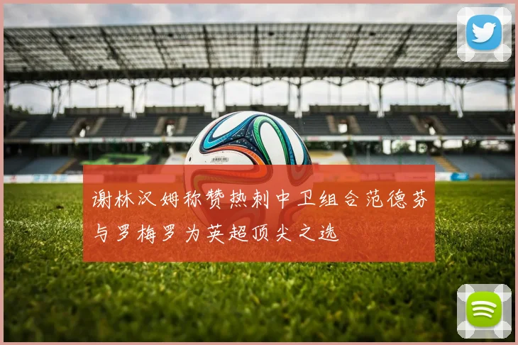 谢林汉姆称赞热刺中卫组合范德芬与罗梅罗为英超顶尖之选