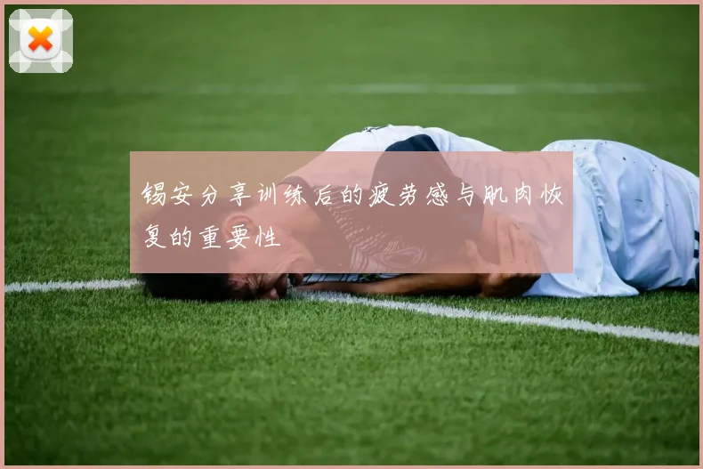 锡安分享训练后的疲劳感与肌肉恢复的重要性