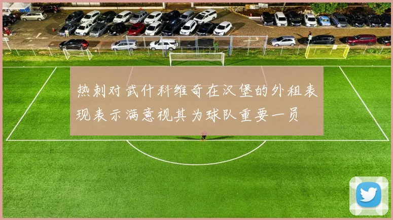 热刺对武什科维奇在汉堡的外租表现表示满意视其为球队重要一员