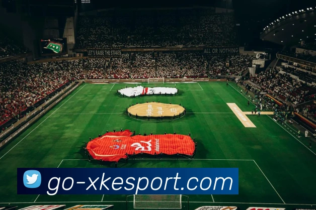 星空电竞服务体系